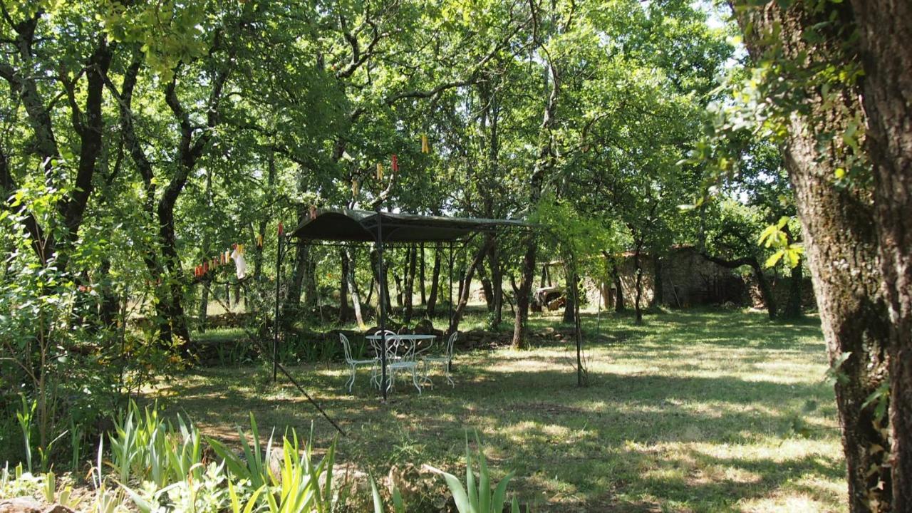 La Cheneraie Bed & Breakfast Vezenobres ภายนอก รูปภาพ