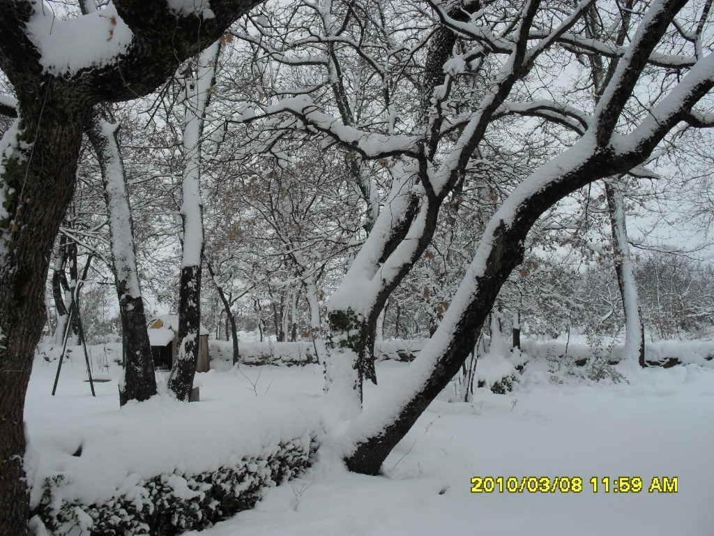 La Cheneraie Bed & Breakfast Vezenobres ภายนอก รูปภาพ